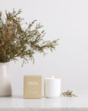Olieve & Olie Hand Poured Candle - Bush Cucumber and Sea Salt